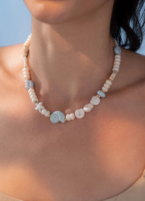 Collar Caracoles + Aretes