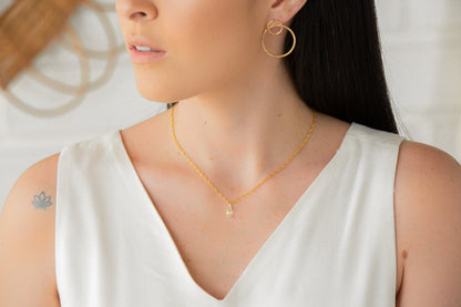 Collar Astro