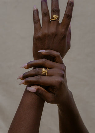 Anillo Tótem Fortaleza