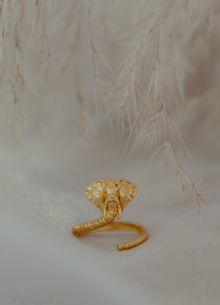 Anillo Tótem Fortaleza